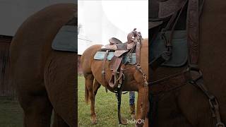 Saddling Up horses equestrianriding equestrian horsebackriding saddle [upl. by Gottlieb]