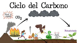 ♻️ Ciclo del Carbono ⚫️ Fácil y Rápido  BIOLOGÍA [upl. by Noirad]