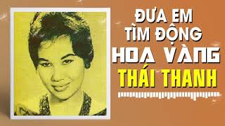 THÁI THANH  ĐƯA EM TÌM ĐỘNG HOA VÀNG PHẠM DUY [upl. by Prentice]