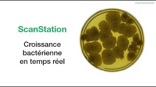 INTERSCIENCE  ScanStation croissance bactérienne  FR [upl. by Maurilla]