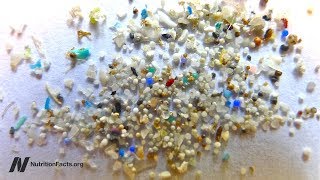 How Much Microplastic Is Found in Fish Fillets [upl. by Ayalat433]