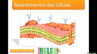 BIOLOGIA MAIS  Revestimento das células [upl. by Saltsman]