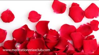 St Valentines Day Romantic Love Piano Music for Dinner for Two [upl. by Hallette569]