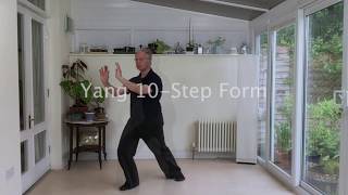 Live Stream Tai Chi amp Qigong Classes [upl. by Nezam]