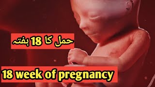 18 week of pregnancy in urdu  talkabouthealth9675 [upl. by Ranzini681]