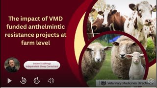 Lesley Stubbings The impact of VMD funded anthelmintic resistance projects at farm level [upl. by Brosy499]