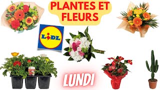 💥 ARRIVAGE LIDL💥 PLANTES ET FLEURS  27 février 2023  18 OFFRES  FRANCE [upl. by Nottap668]