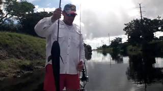 Snakehead Roundup Tournament South Florida [upl. by Ahsinnek943]