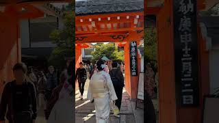 High concentration of kimonos at a Kyoto shrine kimono travel japan [upl. by Elesig]