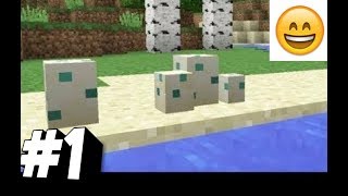 1 loeuf de tortue minecraft 113 [upl. by Nilrak22]