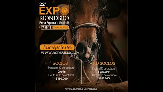 22ª EXPO RIONEGRO FERIA GRADO quotBquot  DIA 3  MACHOS TROCHA Y GALOPE  TROCHA COLOMBIANA [upl. by Lurleen]