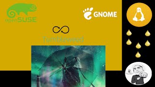 Review OpenSuse Tumbleweed con Gnome 46 [upl. by Eegnat]