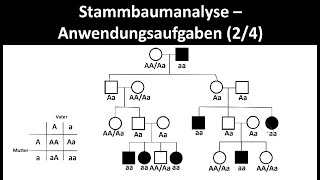 Stammbaumanalyse  Anwendungsaufgaben 24  Biologie Oberstufe [upl. by Northrop385]