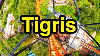 Tigris  Busch Gardens Tampa FL GoPro Hero 13 with Horizon Lock [upl. by Kayle]