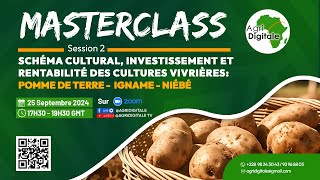 Masterclass Session2  Culture d’Igname Pomme de Terre et Niébé [upl. by Lihcox]