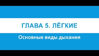 Физиология Глава 5 Лёгкие Основные виды дыхания [upl. by Apgar16]