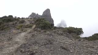 Cierre temporal de los parques nacional Chirripó e Internacional La Amistad [upl. by Nisse]