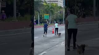 Kasama Si Doggie Sa Jogging fb fbreelsfypシ゚ fbreelsvideo fbreelsviral fbpost2024 fbreels [upl. by Bathsheeb]