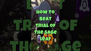 How to BEAT TRIAL OF THE SAGE LEAF in Pikmin 4  THE 1ST STORY [upl. by Gibbie884]