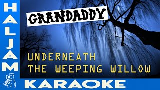 Grandaddy  Underneath the Weeping Willow karaoke [upl. by Nnayrb]