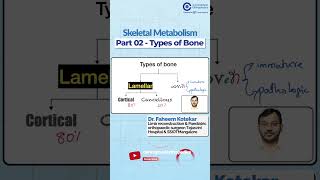 Types of Bone in Skeletal Metabolism By Dr Faheem kotekar  Orthopedic Residency [upl. by Etterraj]