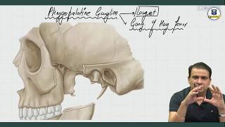 Parasympathetic Ganglia  Anatomy by Dr Ashwani Kumar [upl. by Othilie335]