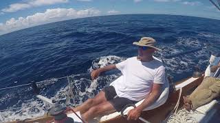 Insights About Racing In The Transpac [upl. by Roybn364]