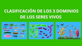 Clasificación de los 3 Dominios de los Seres Vivos [upl. by Idolem]