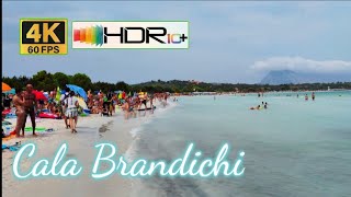 Cala Brandichi BeachSardegna [upl. by Hiram812]