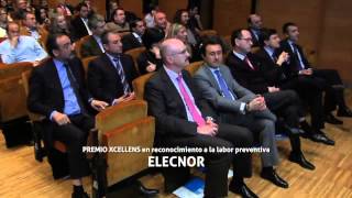 Video cedido por ASEPEYO Día de la Seguridad y Salud en el Trabajo 2013 [upl. by Carol-Jean]