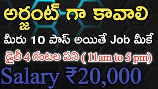 Work From Home Job in Yatra  Telugu Jobs  Free Job  M Tube Jobs [upl. by Alyahsal]