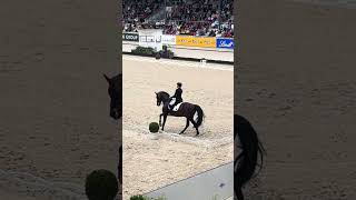 CHIO Aachen Ingrid Klimke full dressage test [upl. by Tremml117]