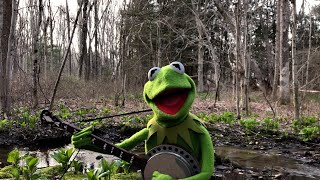 A Special Performance of quotRainbow Connectionquot from Kermit the Frog  The Muppets [upl. by Darej75]