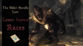 Lesser Known Races of Tamriel  The Elder Scrolls Lore [upl. by Anizor8]