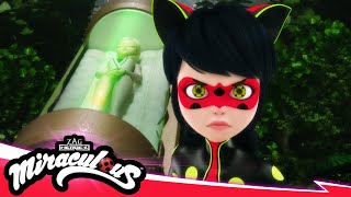 MIRACULOUS  🐞 NEUGESTALTUNG – Der finale Tag Teil 2  Akumatisierung 🐾  STAFFEL 5 FOLGE 26 [upl. by Nataline]