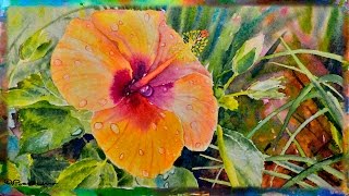 How to Paint the Orange Hibiscus Flower in Watercolor Part 1 [upl. by Rance]