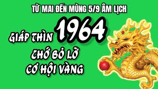 Từ Mai Đến 59 Âm Lịch Tuổi Giáp Thìn 1964 Chớ Bỏ Lỡ Cơ Hội Vàng Tài Lộc Gấp những 10 Lần Độc Đắc [upl. by Ahrendt782]