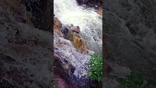 July Stream Flow 32 Hydrology water bewatermyfriend bewater calming stressrelief waterfall [upl. by Bates]