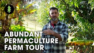 Beautiful 1Acre Small Scale Permaculture Property  Limestone Permaculture Farm Tour [upl. by Llenol]