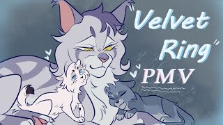 Velvet Ring  Bluestar PMV Warrior Cats [upl. by Llyrehc]