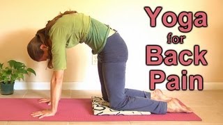 Relaxing Yoga for Back Pain Beginners Home Workout  Mollie Psychetruth Austin [upl. by Brunn]