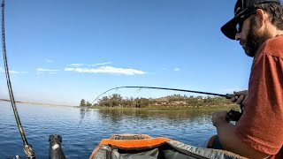 These Fish Were Fired Up [upl. by Steffane]