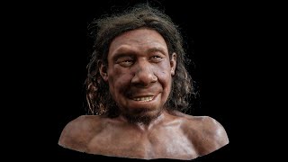 Gezicht voor Krijn eerste Neanderthaler van Nederland [upl. by Orran791]