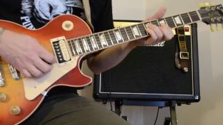 Snowy White Bird of Paradis  guitar tutorial pt1 [upl. by Dunning]