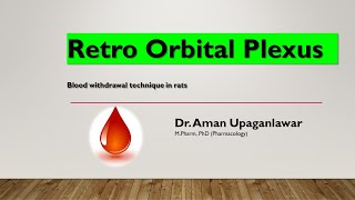 Retro Orbital Plexus Blood withdrawal technique from rat [upl. by Sevy176]