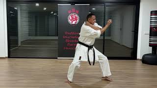 The Official Tiska Karate  2 Heian Nidan Detailed Tips [upl. by Eveam]