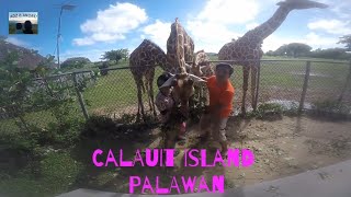 Calauit Island Palawan travel travelvlog [upl. by Llywellyn]