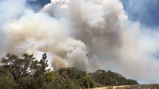 Rosedale HVP pine plantation ￼fire 2019 [upl. by Eiznekam]