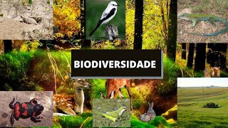 Biodiversidade  Documentário [upl. by Yarahs]