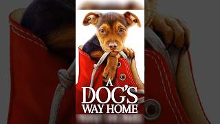 – May 1 2018 by W Bruce Cameron Author  A Dogs Way Home A Novel Paperback – [upl. by Anait682]